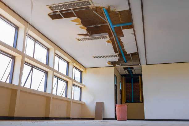 Best Water damage restoration near me  in Berwick, PA