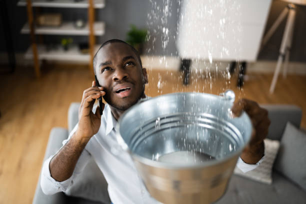 Best Flood damage cleanup  in Berwick, PA