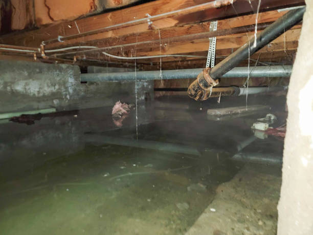 Reliable Berwick, PA Water damage restoration Solutions