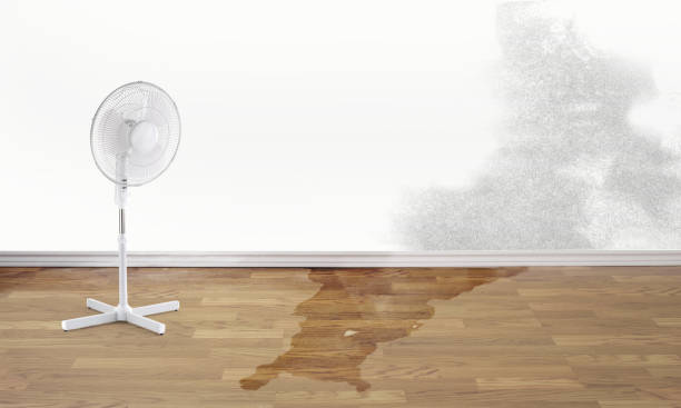 Best Fire Damage Restoration  in Berwick, PA