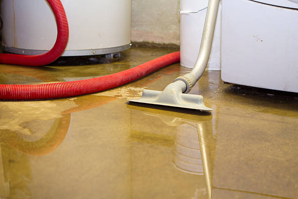 Best Emergency water extraction  in Berwick, PA