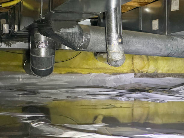 Best Flood restoration services  in Berwick, PA