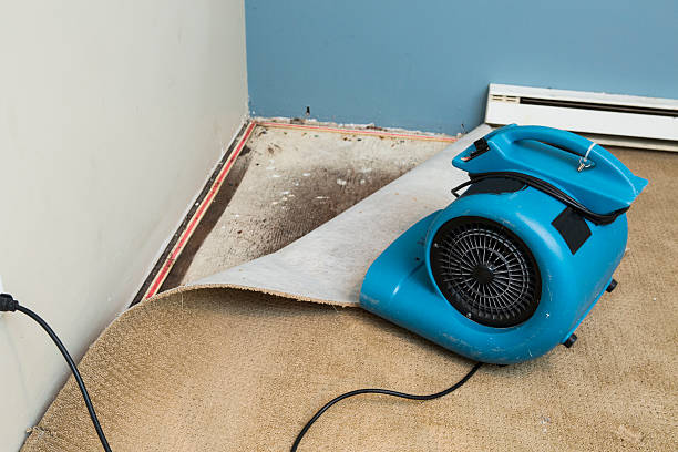 Best Water damage mitigation services  in Berwick, PA